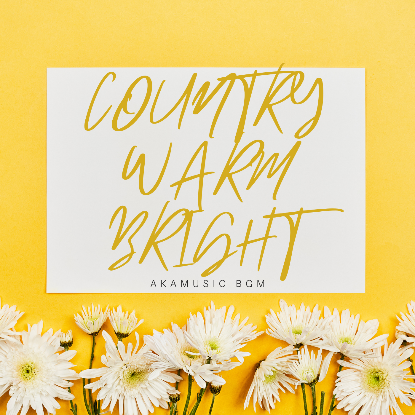 COUNTRY WARM LIGHT cover